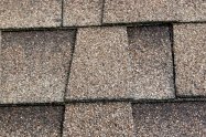 asphalt shingles