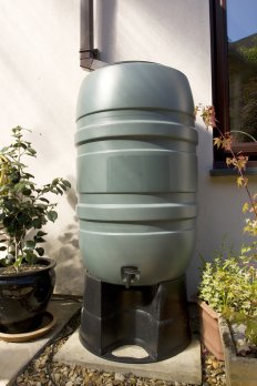 Plastic Rain Barrel